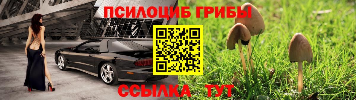 наркотики  Вход с VPN  Галлюциногенные грибы Cubensis  Нижнекамск  Галлюциногенные грибы ЛСД 